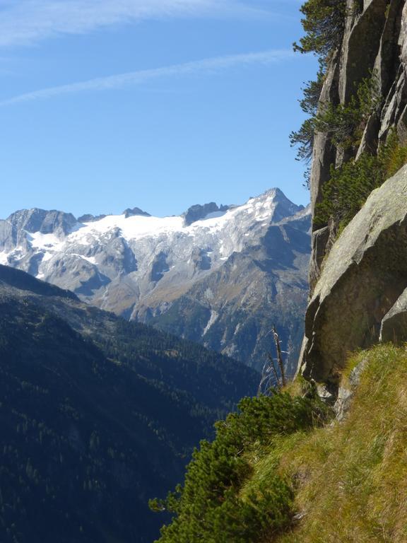 Ferienwohnung Zillertal - Schwemberger Fügen Oda fotoğraf